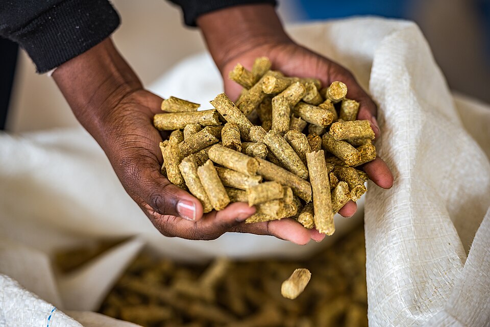 Animal_feed_from_bush_biomass