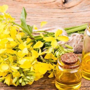 Refined Rapeseed Oil