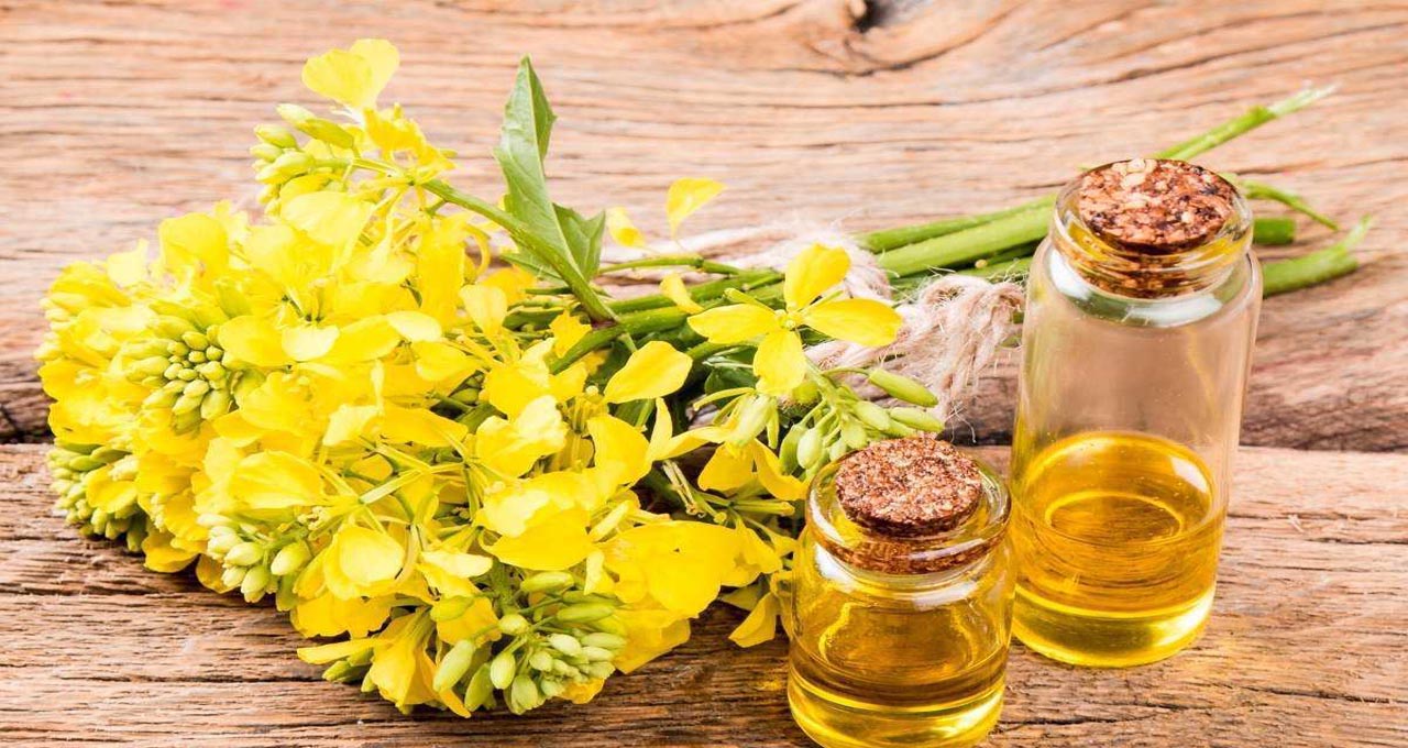 refined-rapeseed-oil