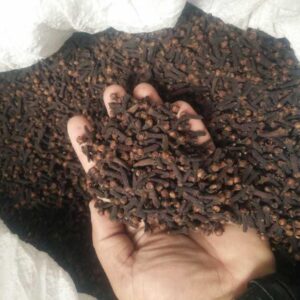 Whole Cloves