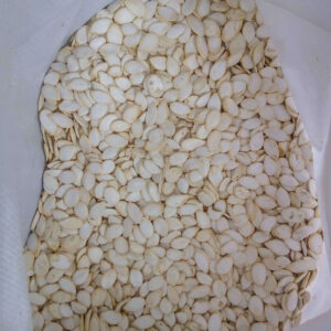 Raw Pumpkin Seeds And Kernel