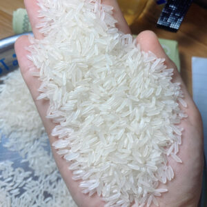 Jasmine Rice
